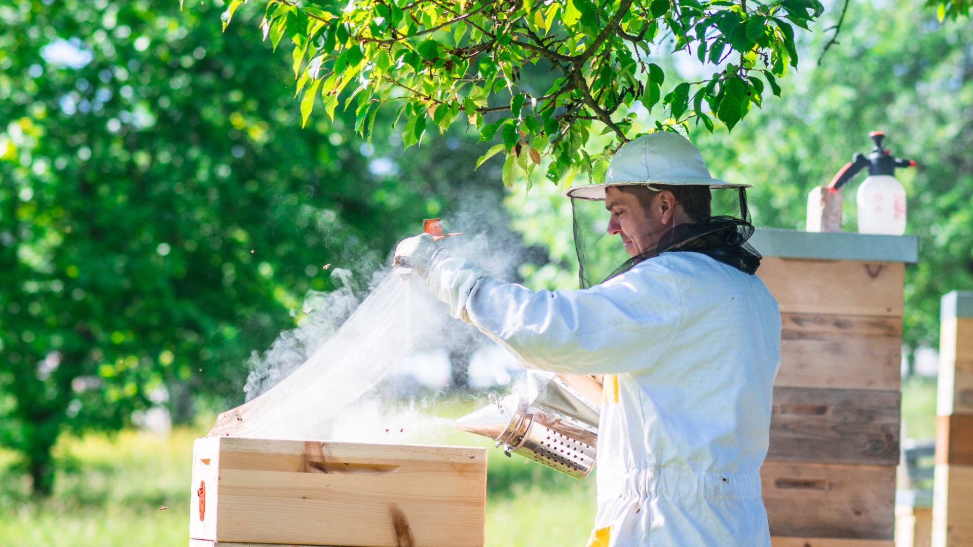 Přijel sem s batohem a už tu zůstal, rozhovor s Jiřím Vašíčkem