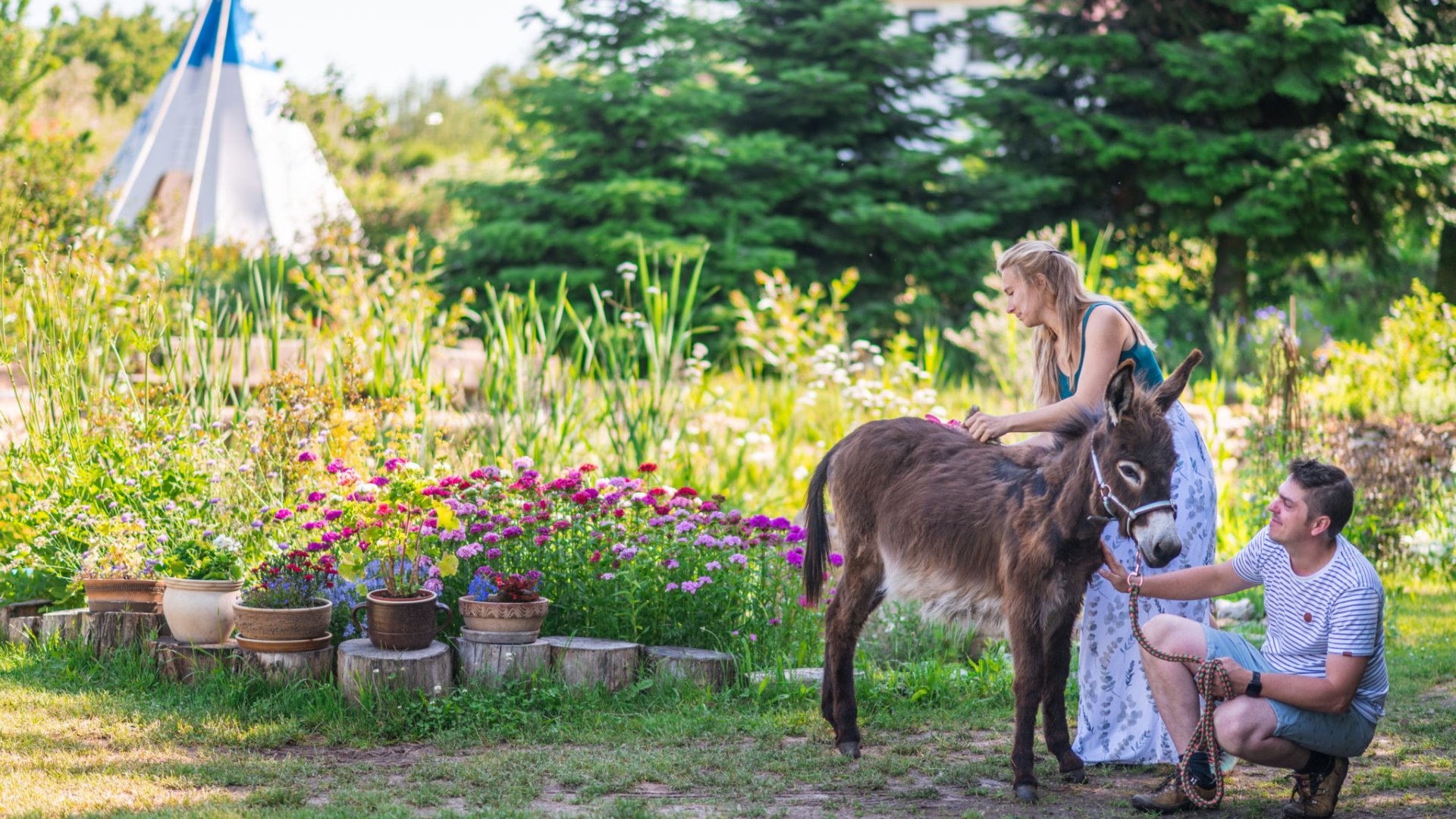Přijel sem s batohem a už tu zůstal, rozhovor s Jiřím Vašíčkem