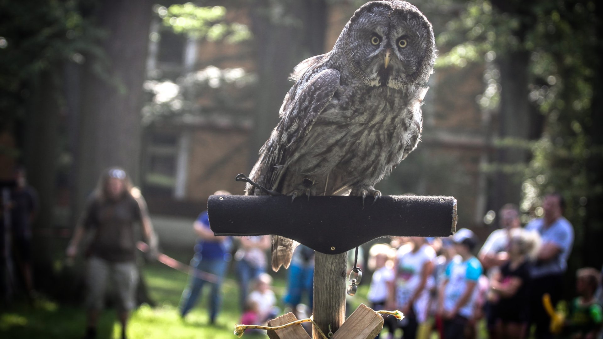 ASSA ABLOY Rychnov uspořádala rodinné odpoledne pro své zaměstnance