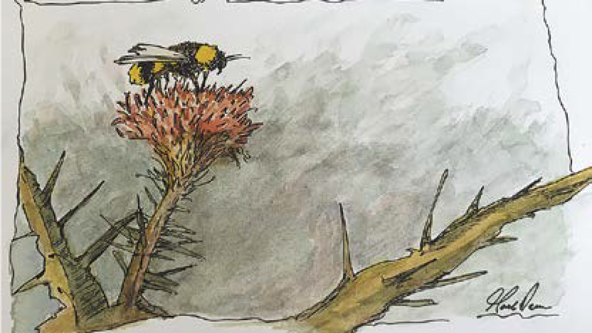 ASSA ABLOY by mi mohla začít pronajímat letadlo, ale to se asi nestane, říká v rozhovoru Mark Dean