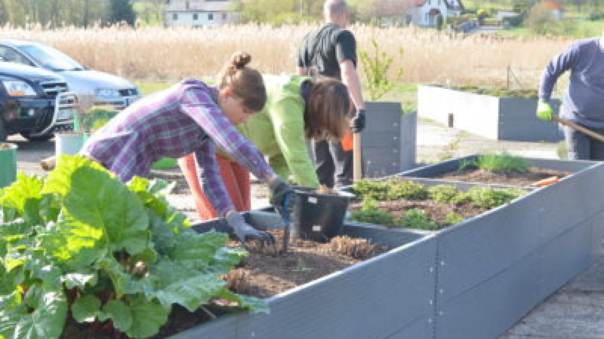 Zaměstnanci ASSA ABLOY Rychnov pomohli zahradě v Centru Orion přivítat jaro