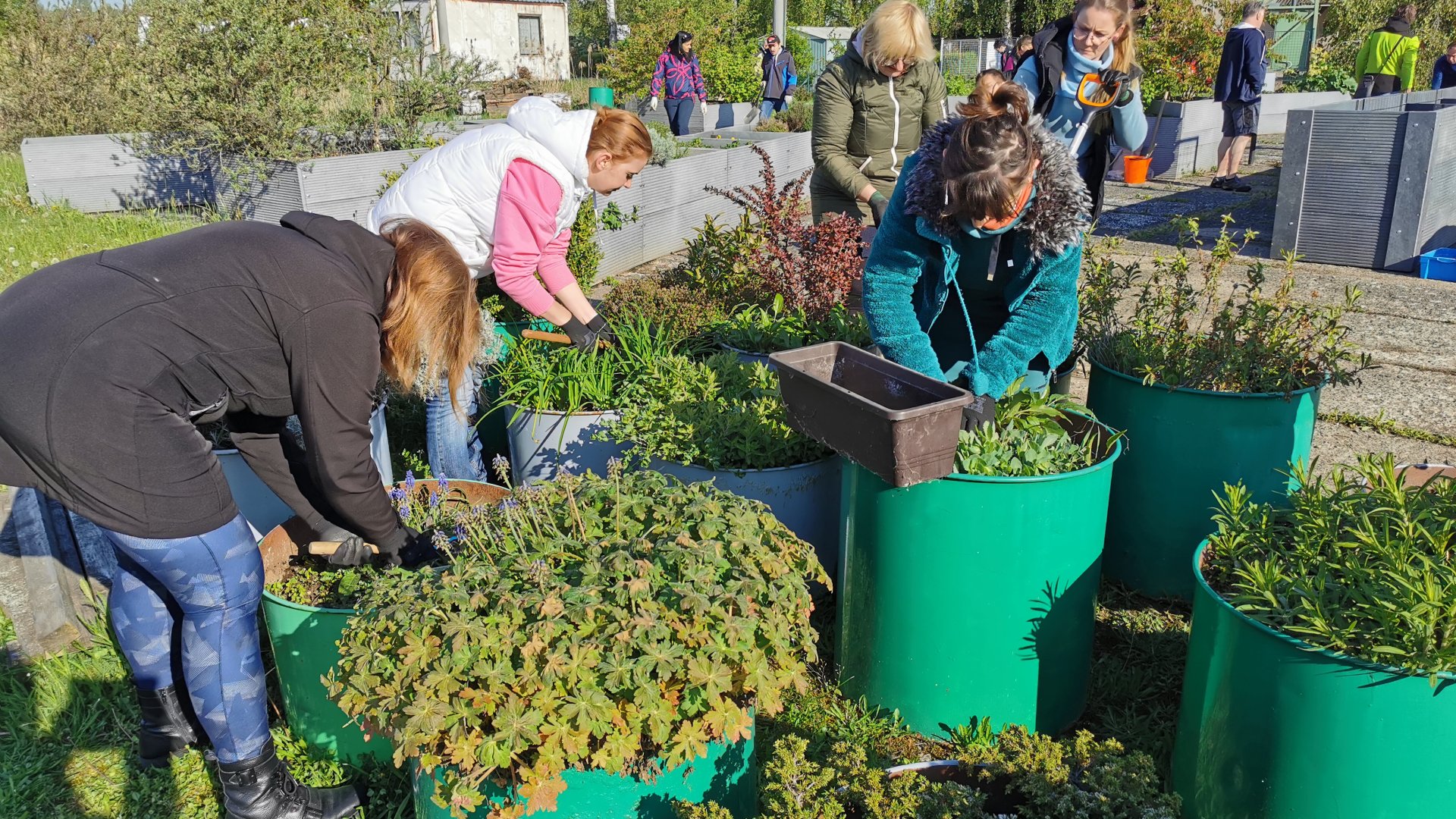 Dobrovolnický den v Centru Orion se opět vydařil