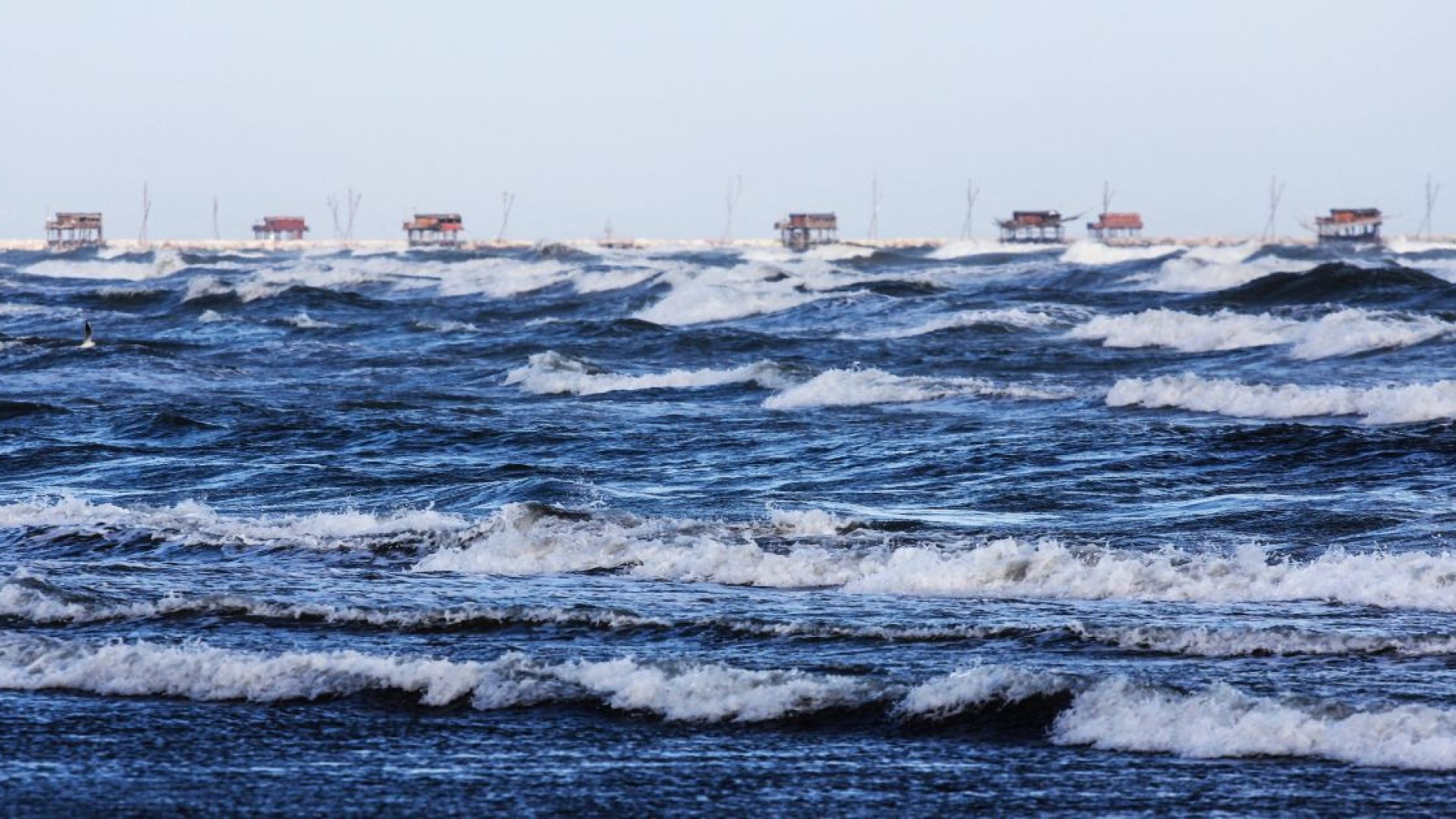 Rozhovor s Michaelou Kalousovou